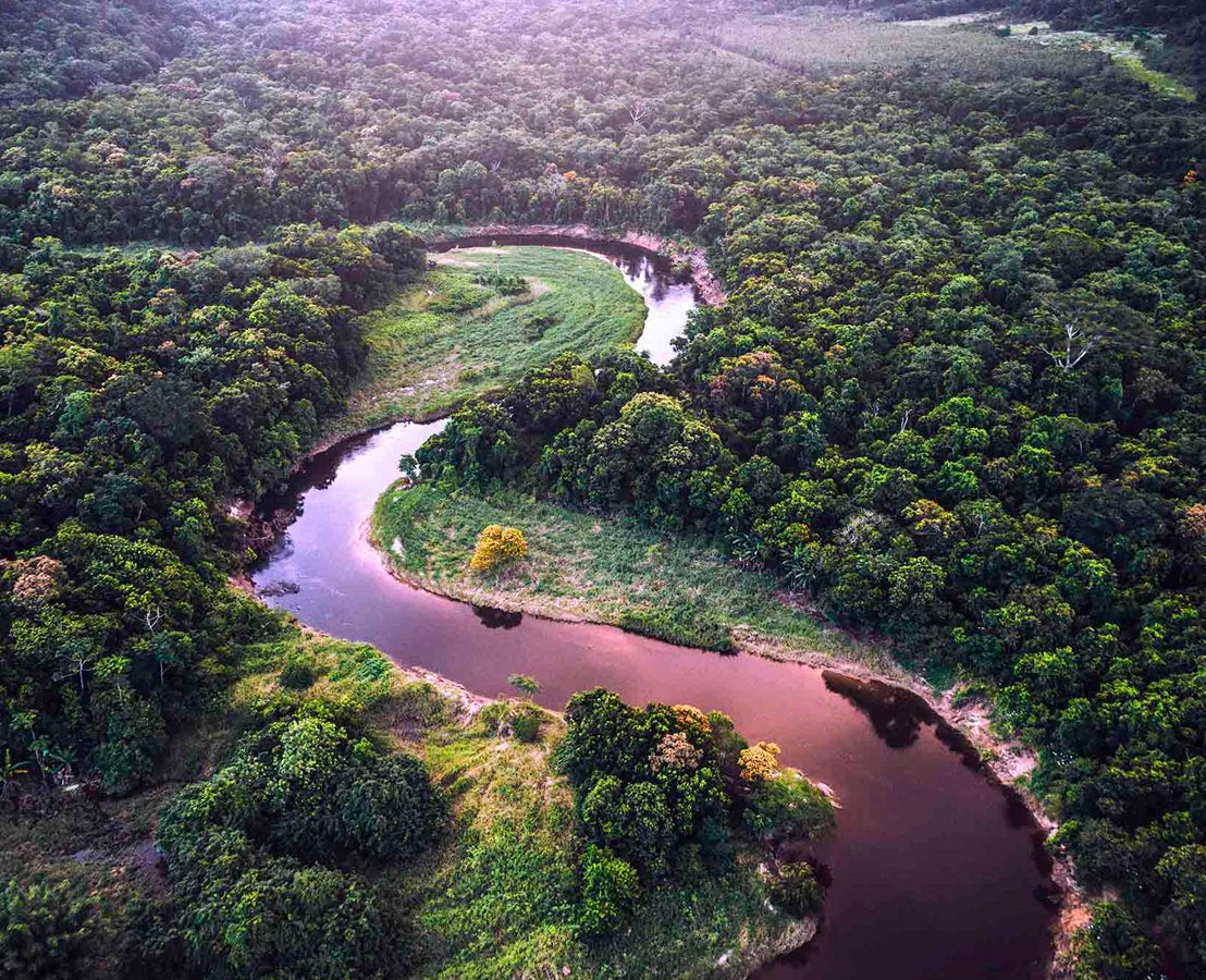 Vue aérienne d’une rivière sinueuse traversant une forêt dense aux multiples nuances de vert.
