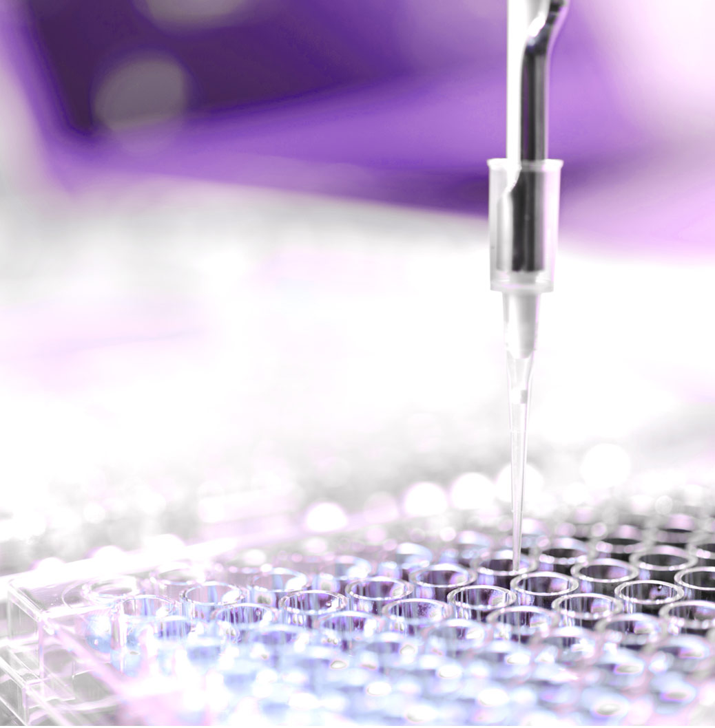 Pipette déposant un liquide dans une plaque en laboratoire, avec un fond violet flou