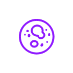 Icône de cellules ou reins – Urologie et néphrologie"